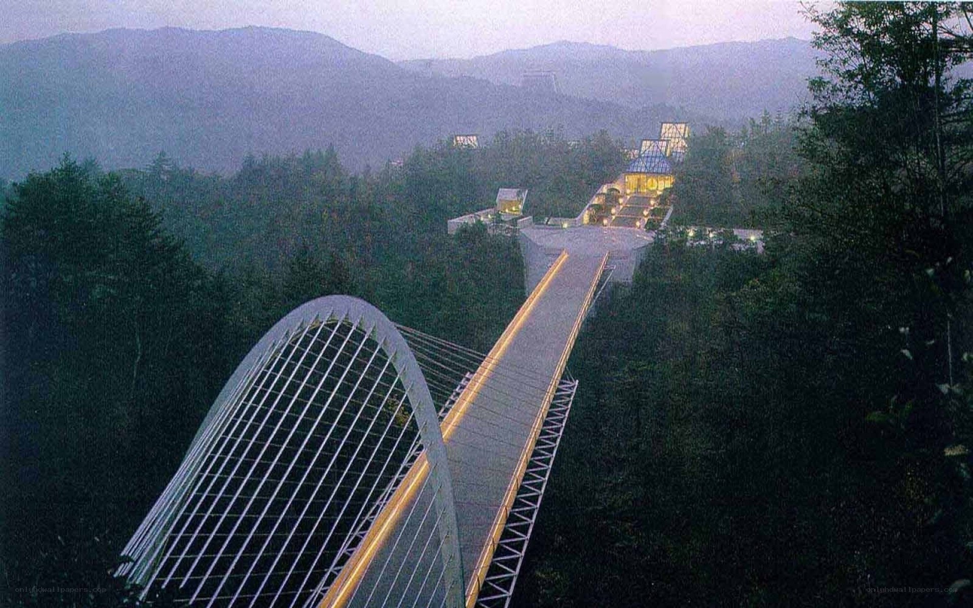 modern bridge in forested mountains