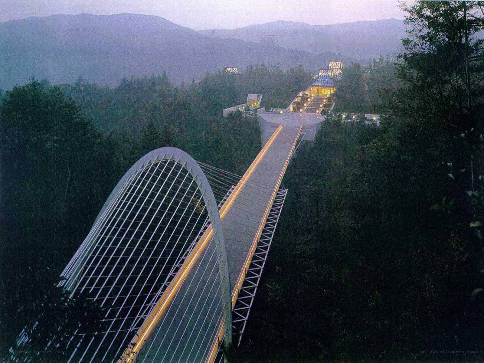 Modern bridge in forested mountains
