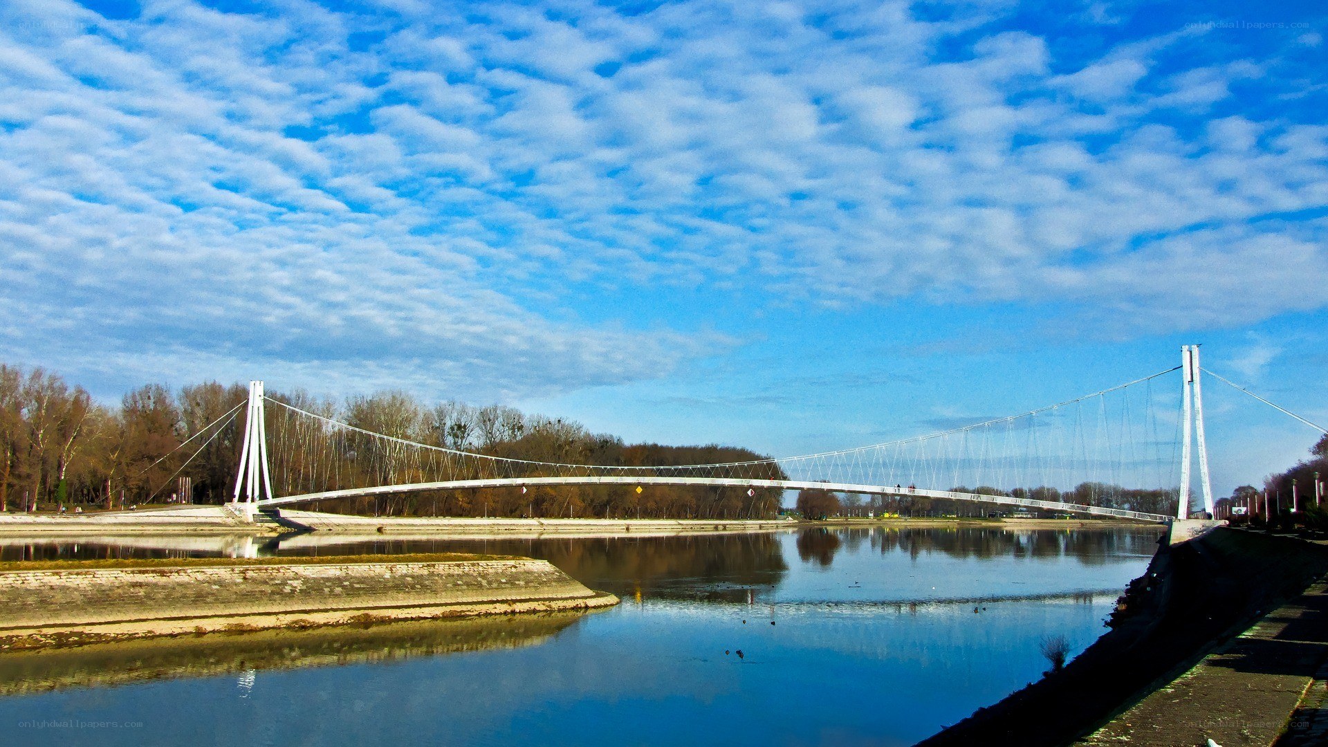 Modern bridge over a river