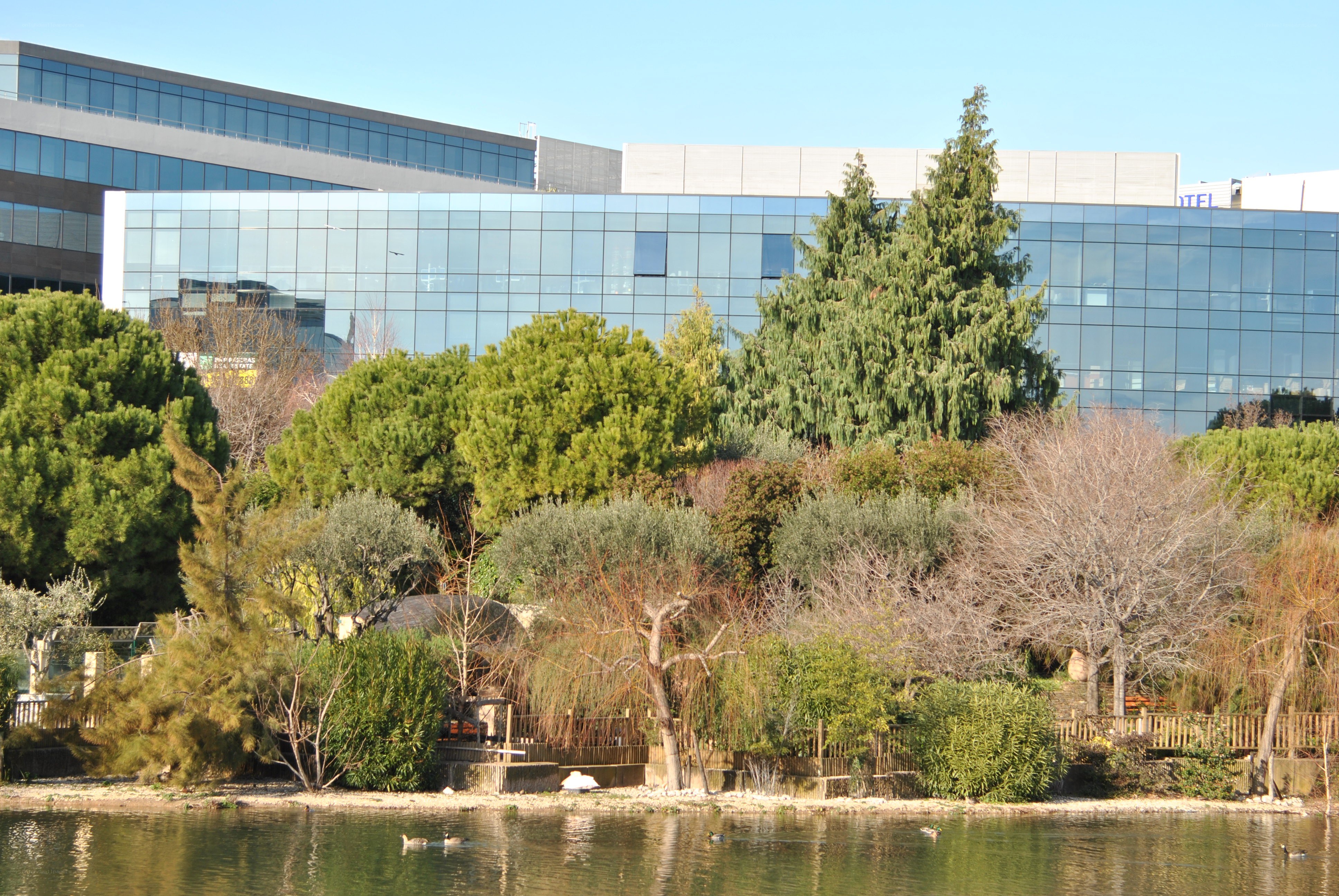 Modern building by a pond