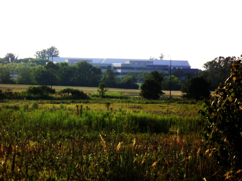 Modern Building in Field
