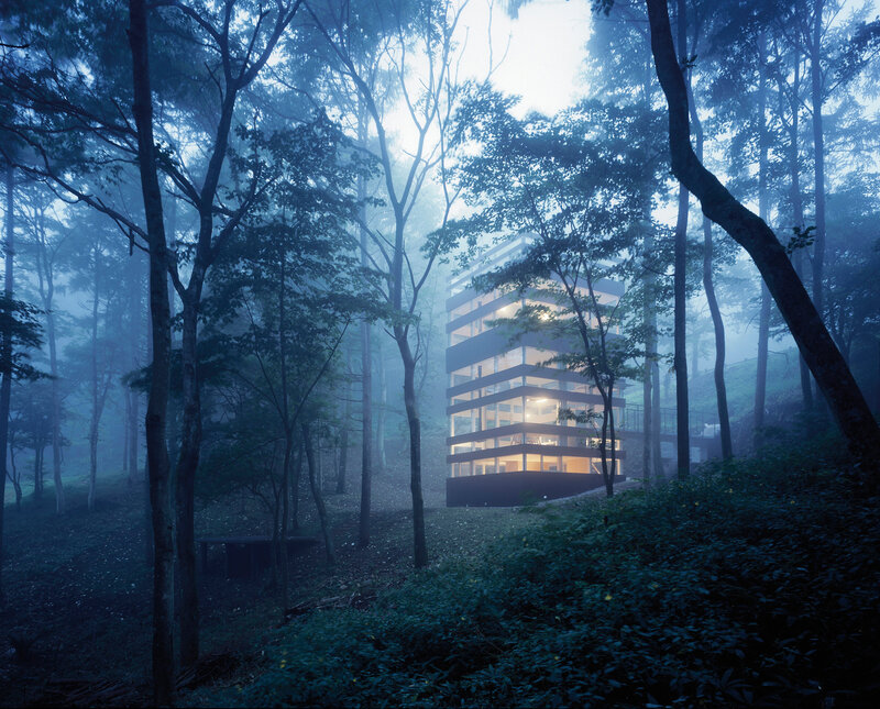 Modern Building in Forest