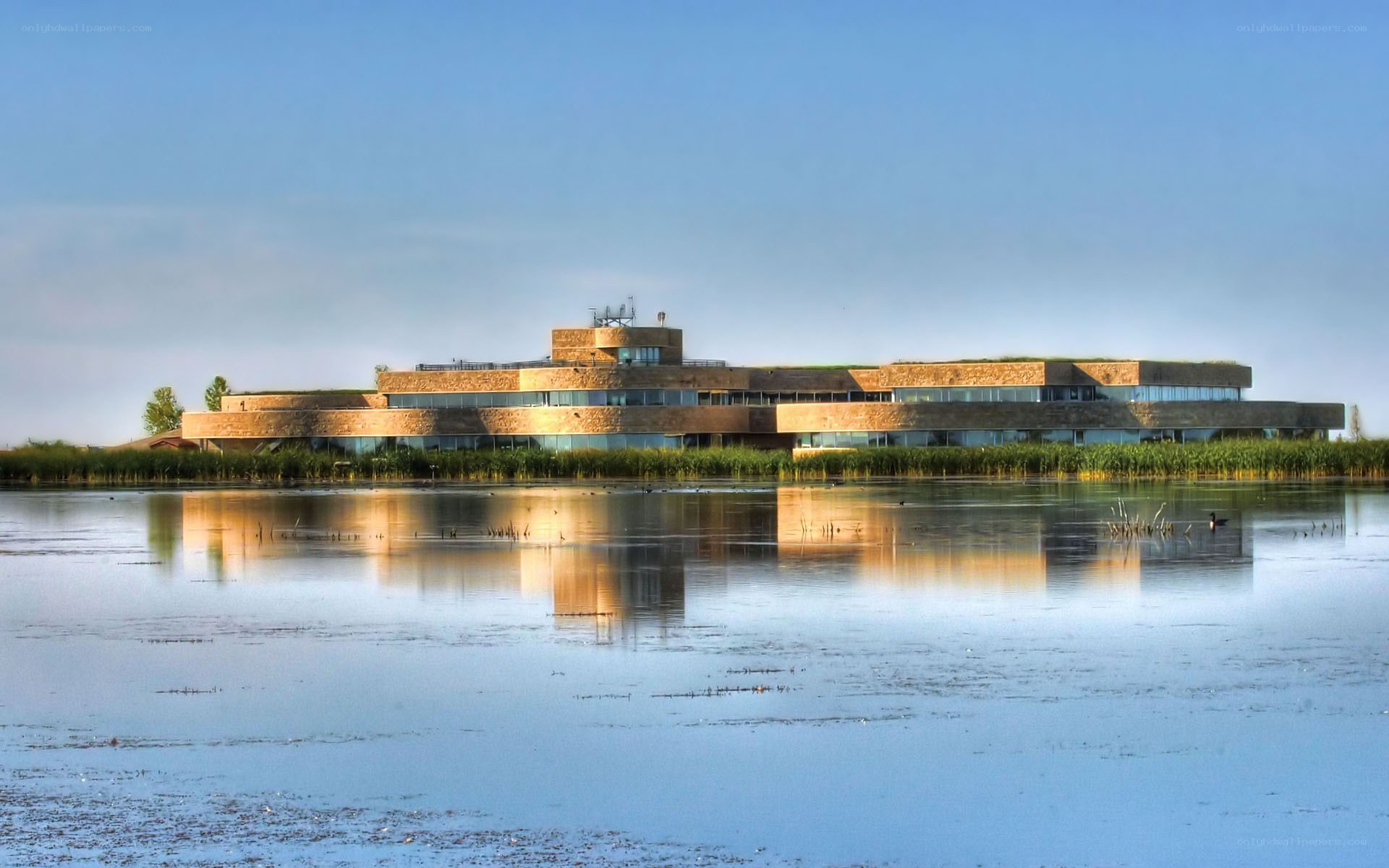 modern building on a lake