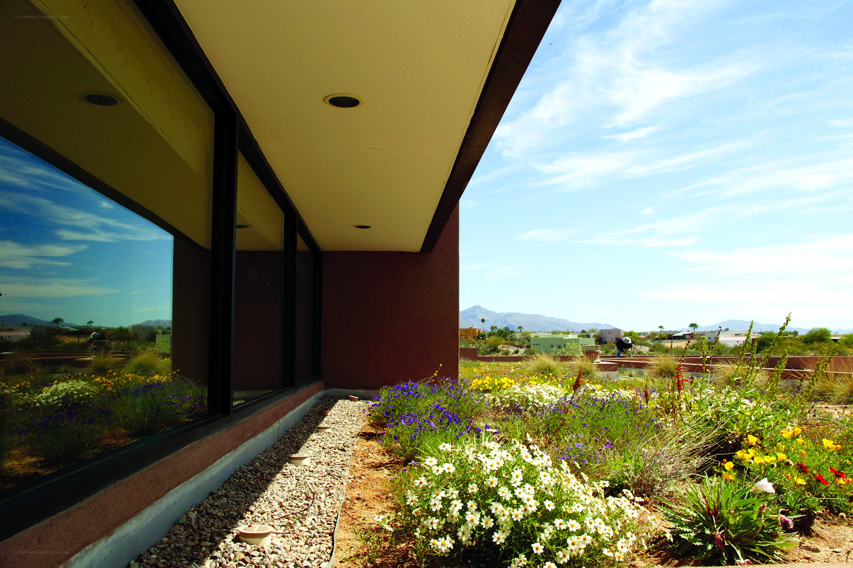 Modern building with desert garden