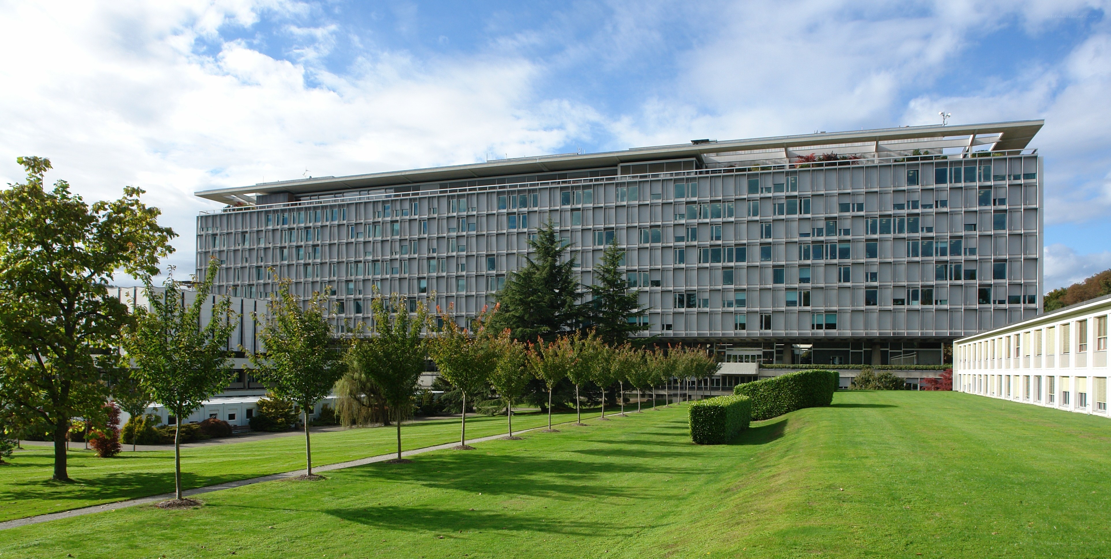 Modern building with green lawn