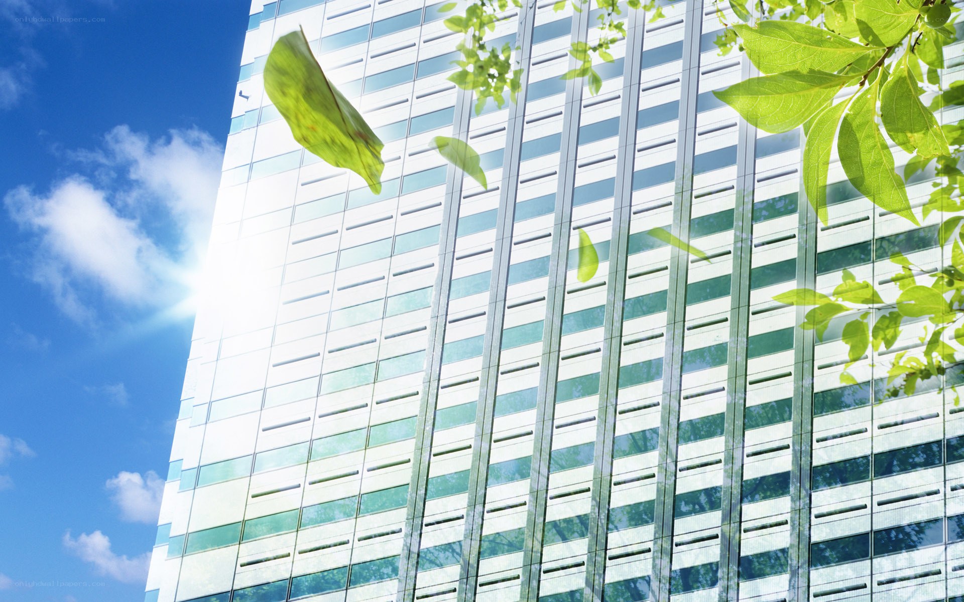Modern building with green leaves