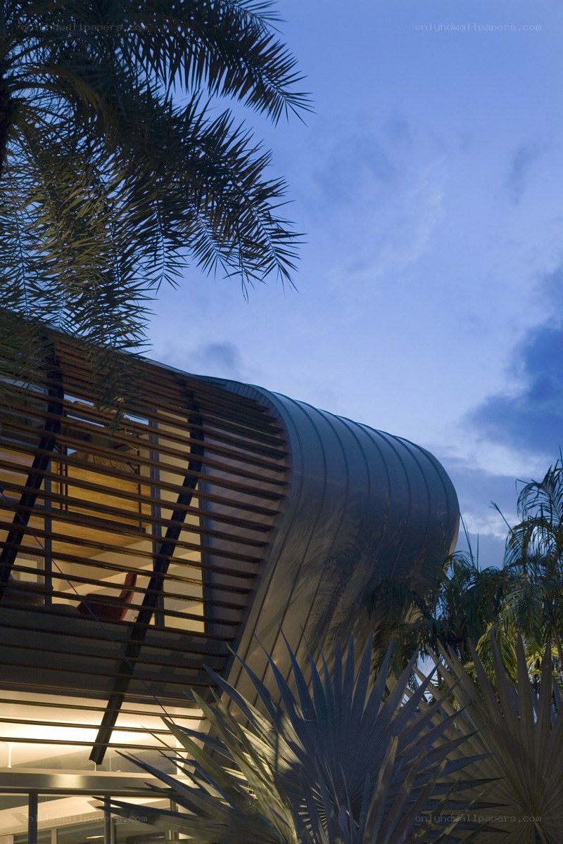Modern building with palm trees