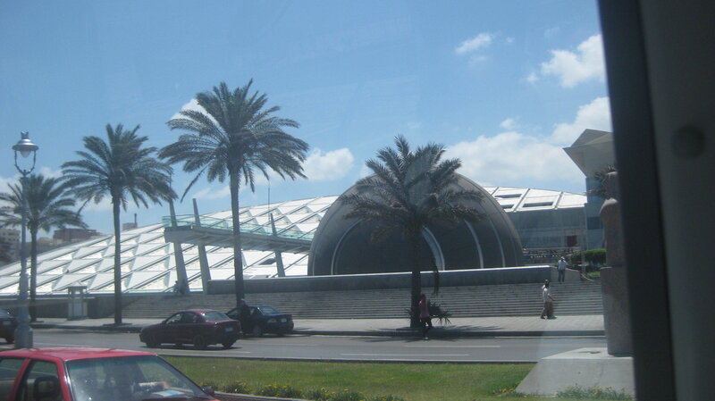 Modern Building with Palm Trees — Blue