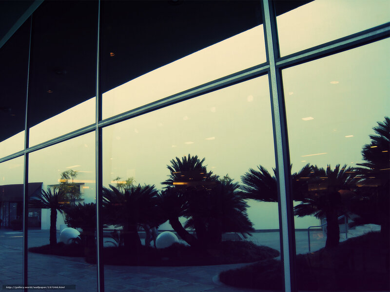 modern building with palm trees