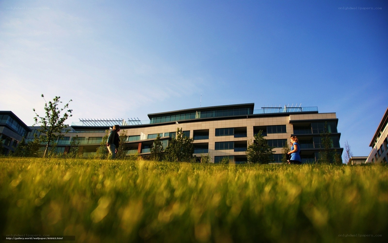 Modern building with people on lawn