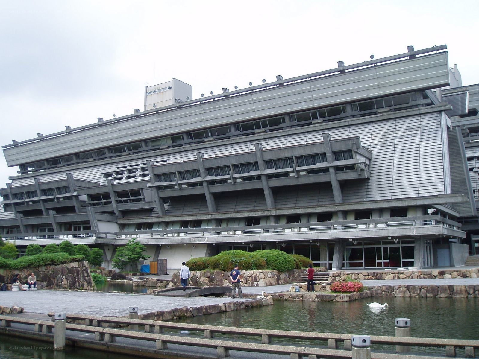 modern building with pond and swans