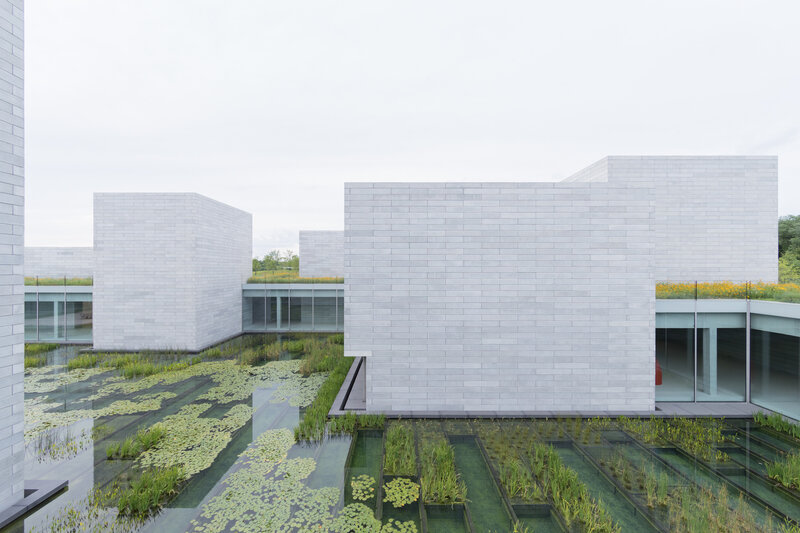 Modern Building with Water Garden