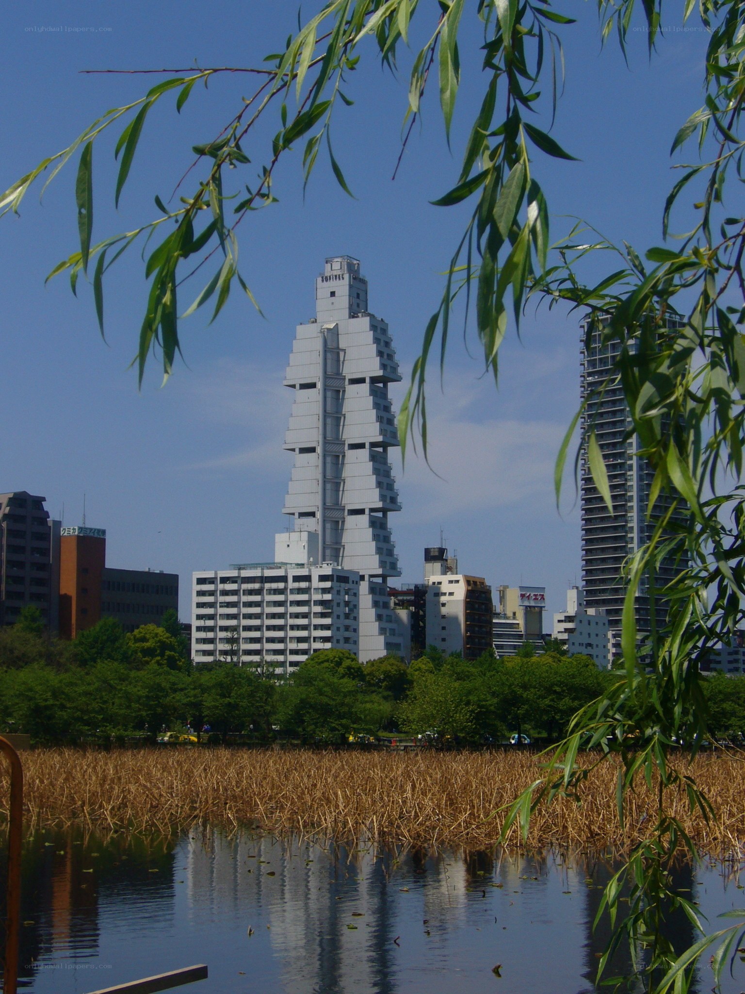 Modern buildings by a pond