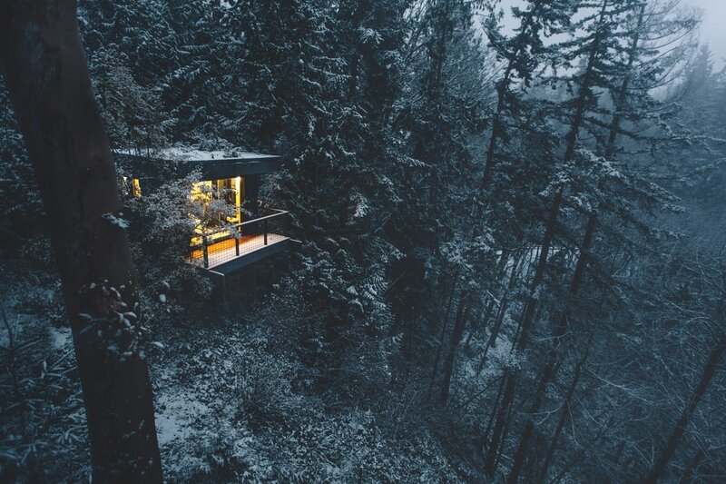 Modern Cabin in Forest — Blue
