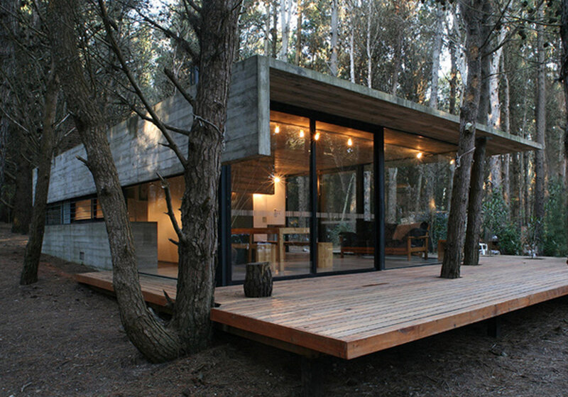 Modern Cabin in Forest — Brown