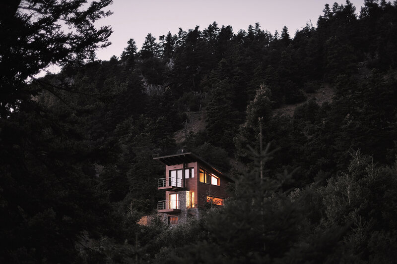 Modern Cabin in Forest — Dark Green