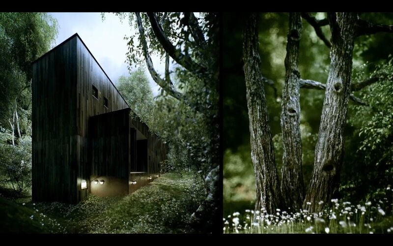 Modern cabin in forest