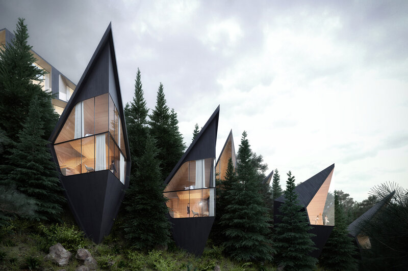 Modern Cabins in Forest
