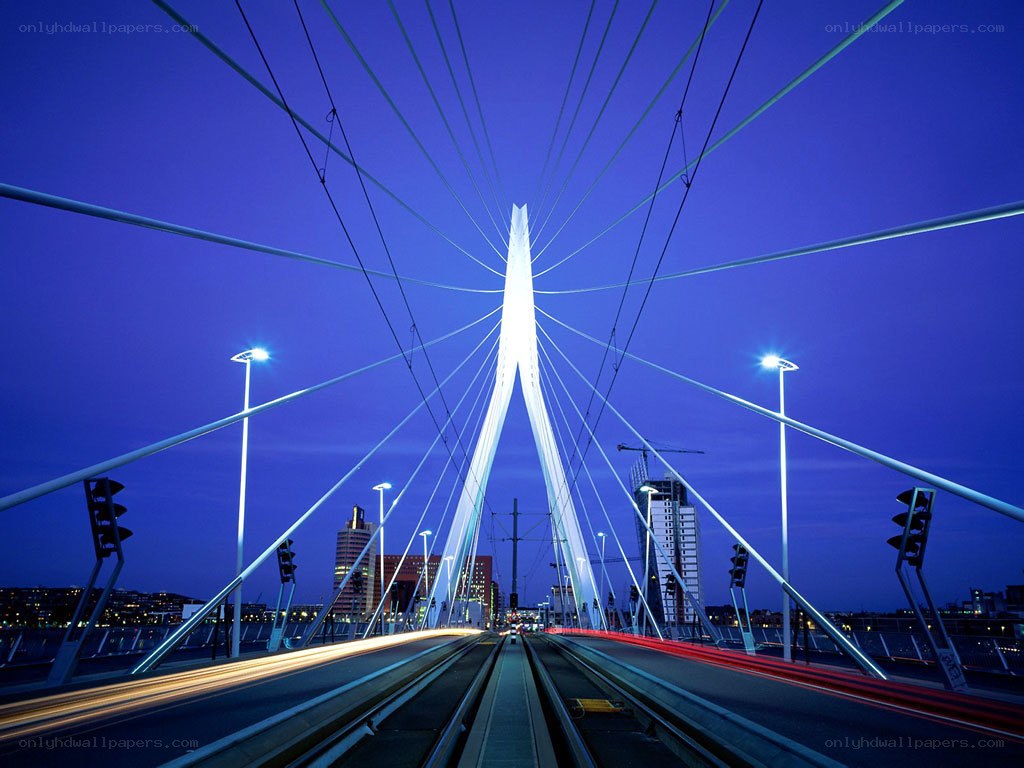 modern cable-stayed bridge at night