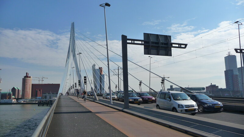 modern cable-stayed bridge in city