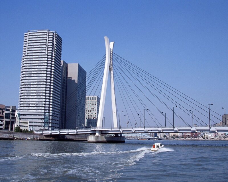 Modern cable-stayed bridge in urban setting