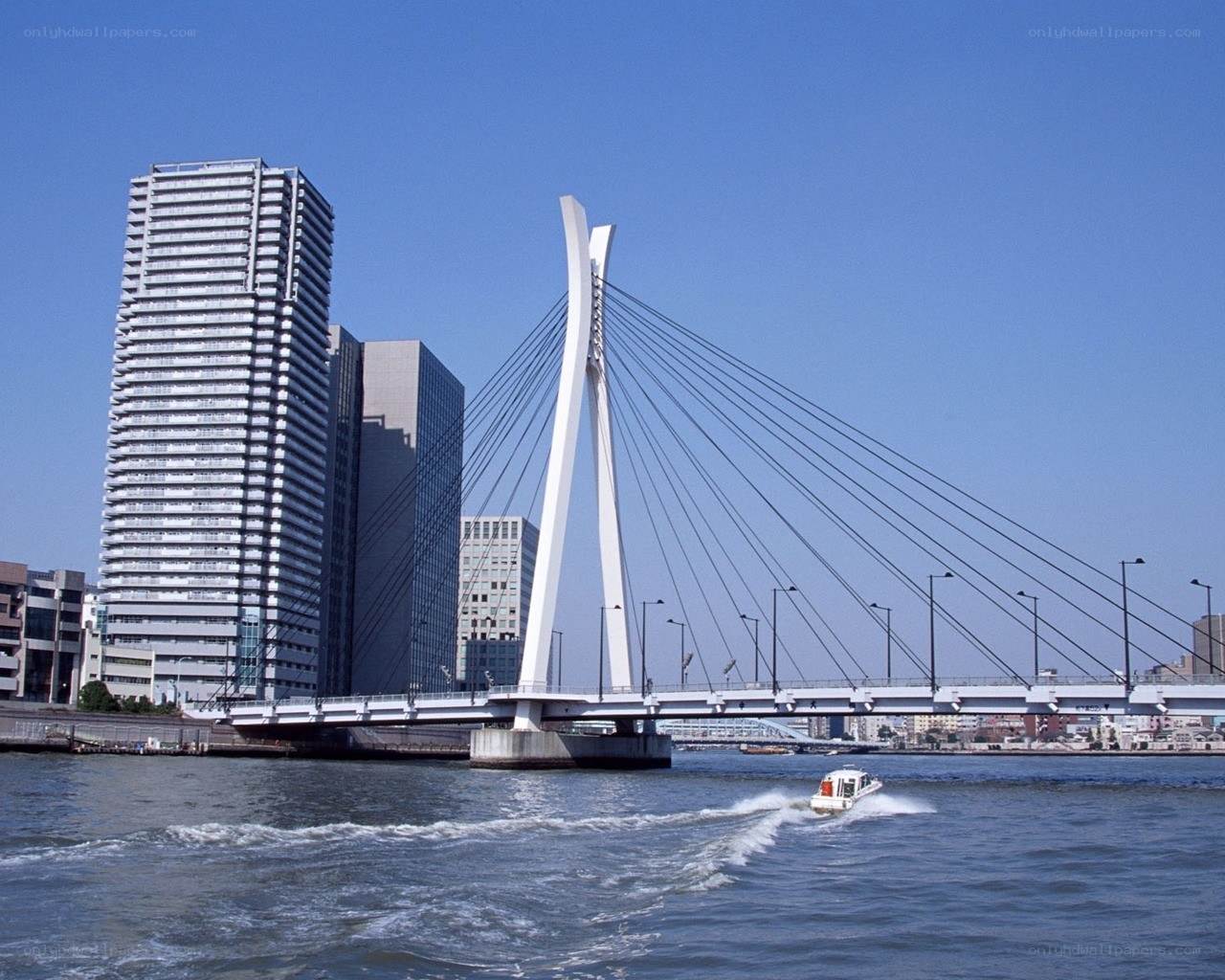 Modern cable-stayed bridge in urban setting