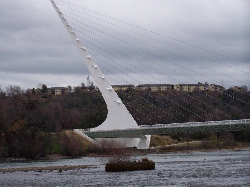 Modern cable-stayed bridge over river