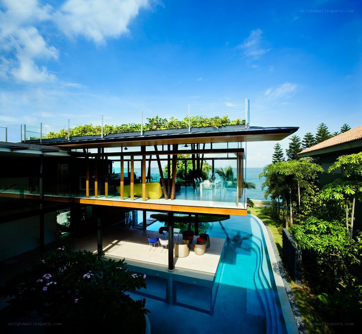 Modern coastal house with pool