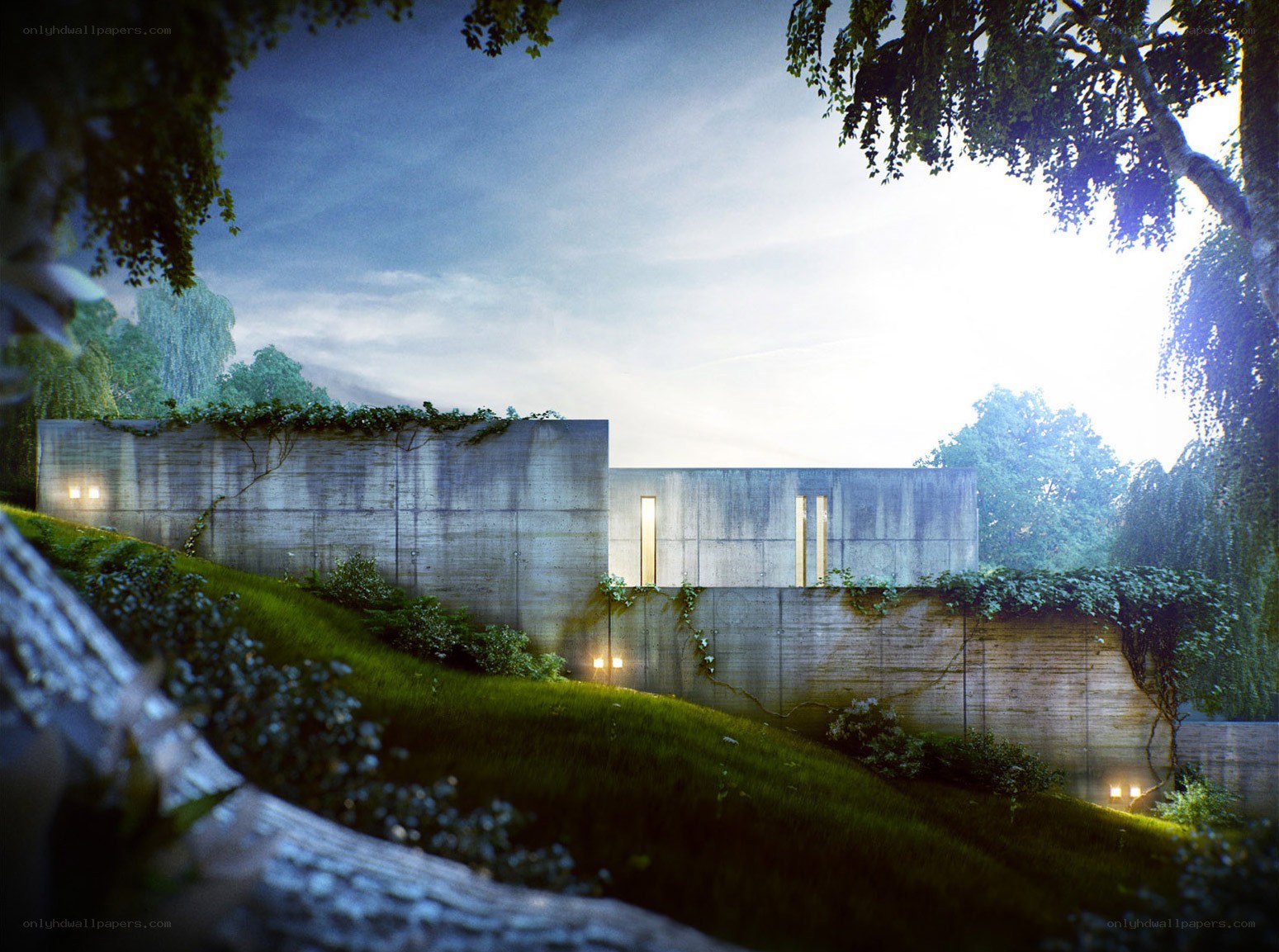 Modern concrete house in forest