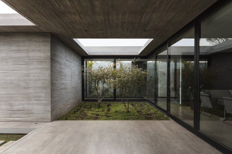 Modern Courtyard Garden