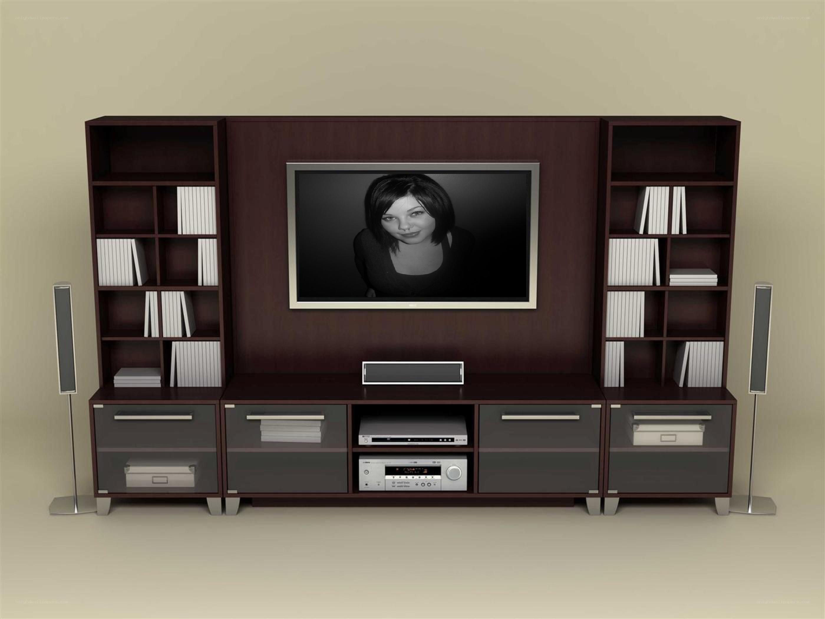 modern entertainment center setup