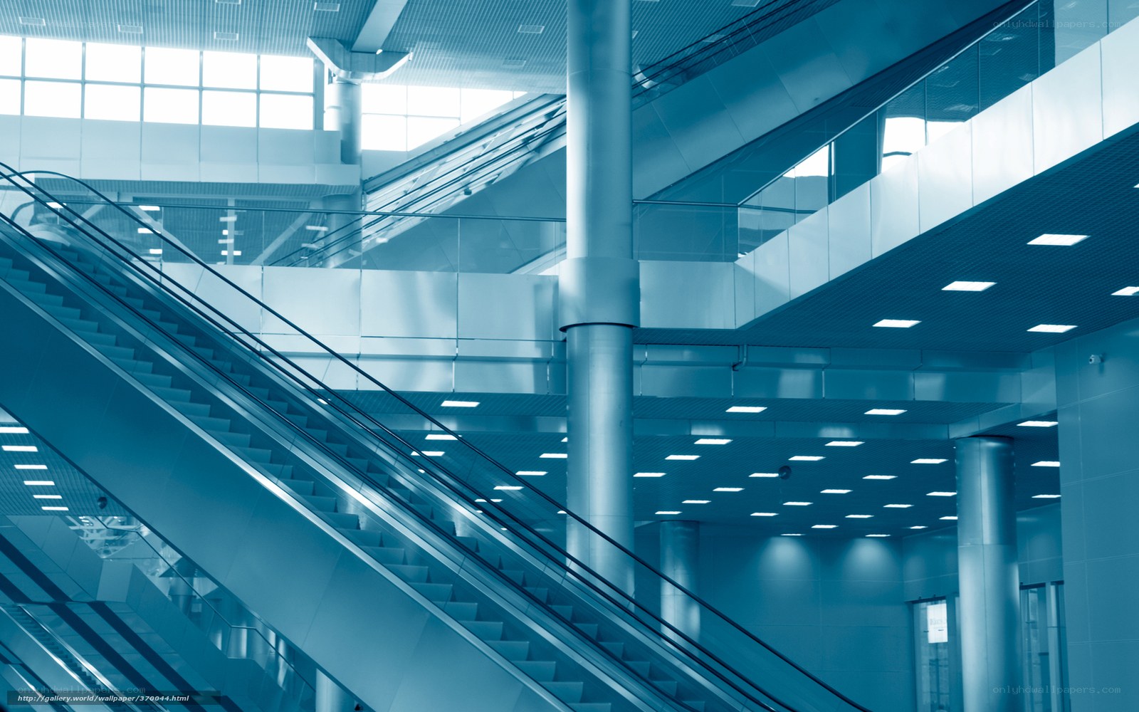 Modern escalator in a blue-lit building