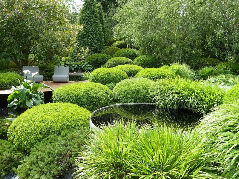 Modern Garden with Pond