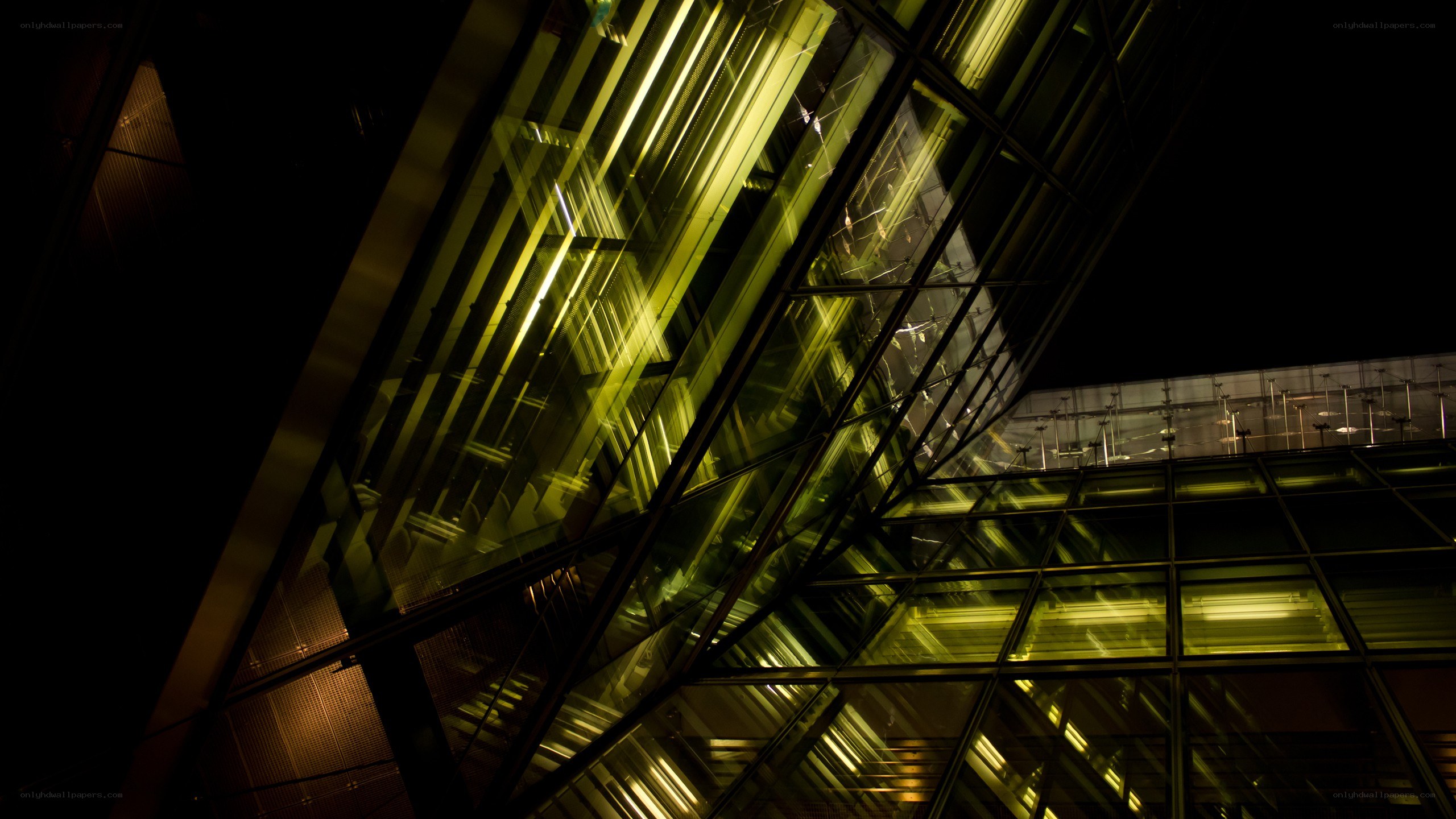 Modern glass architecture at night
