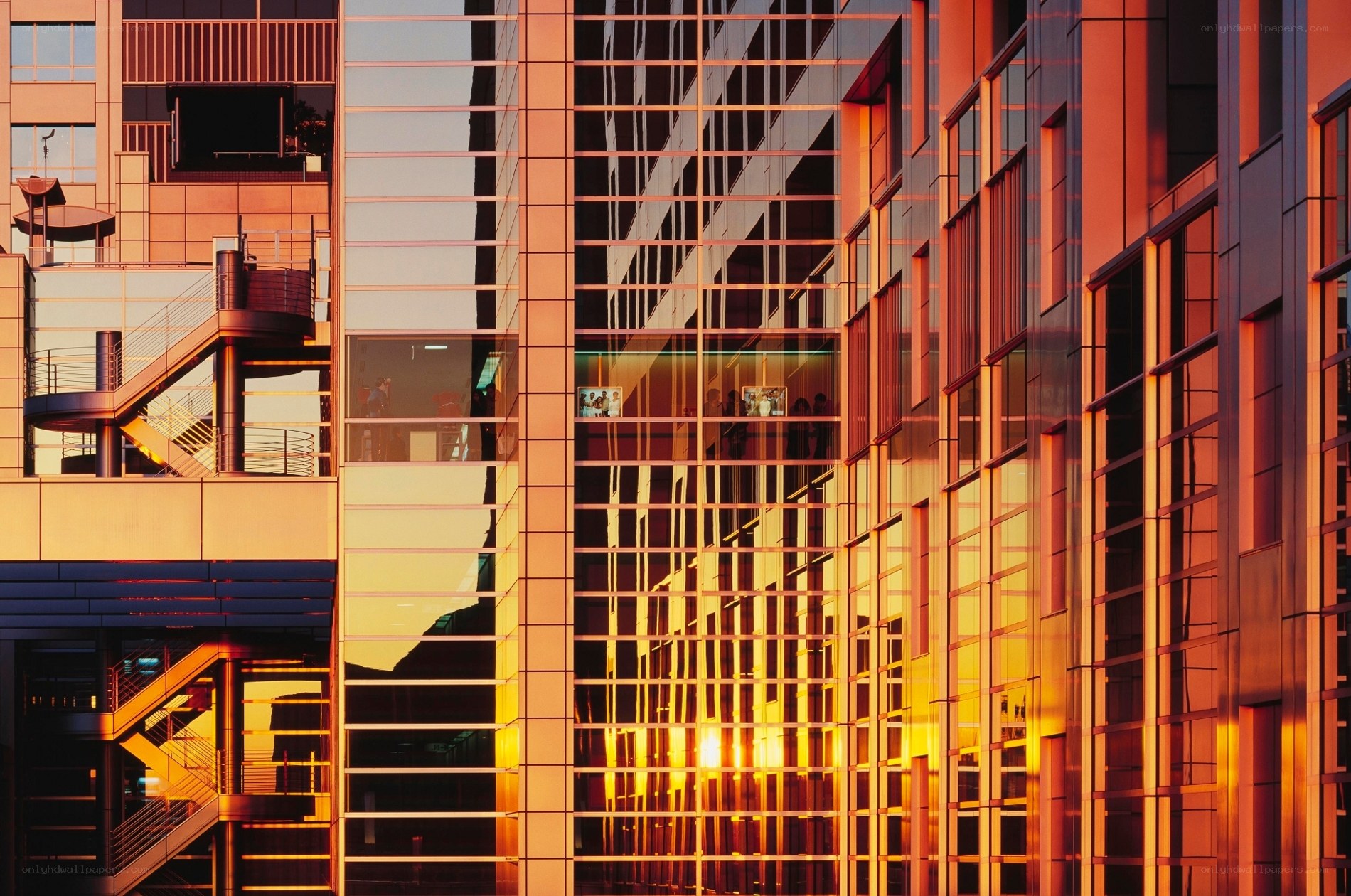 Modern glass building at sunset