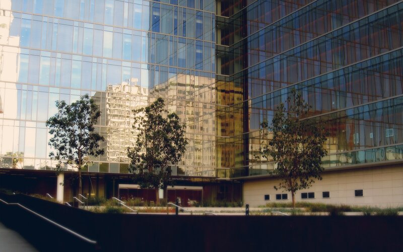 modern glass building reflections