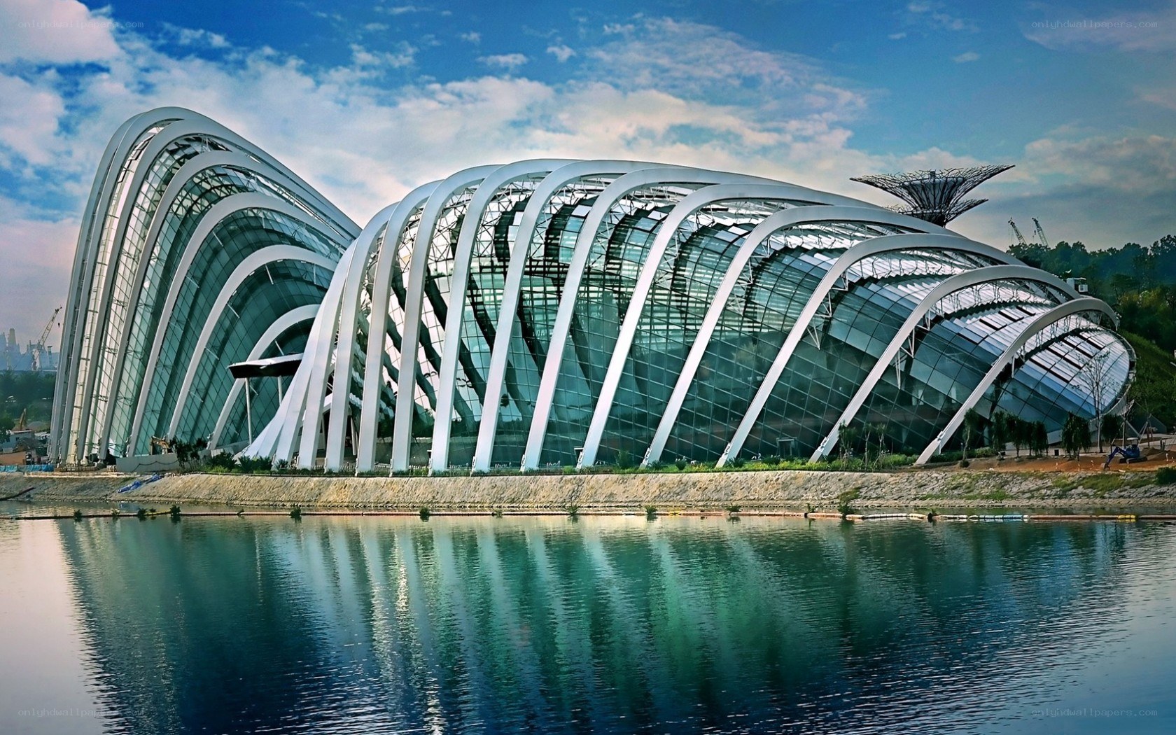 Modern glass conservatory building