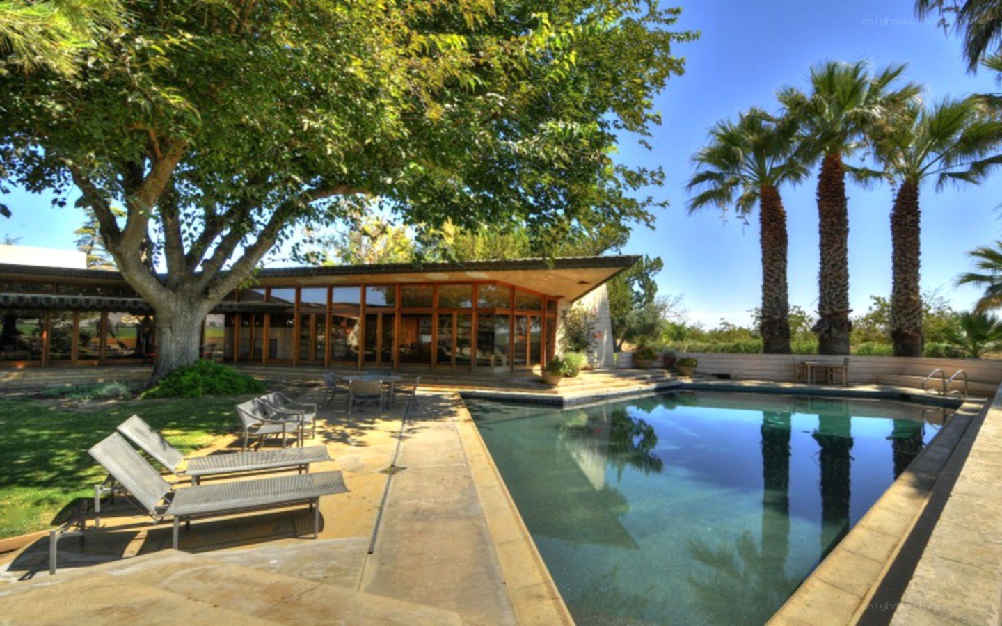 Modern home with pool and palm trees