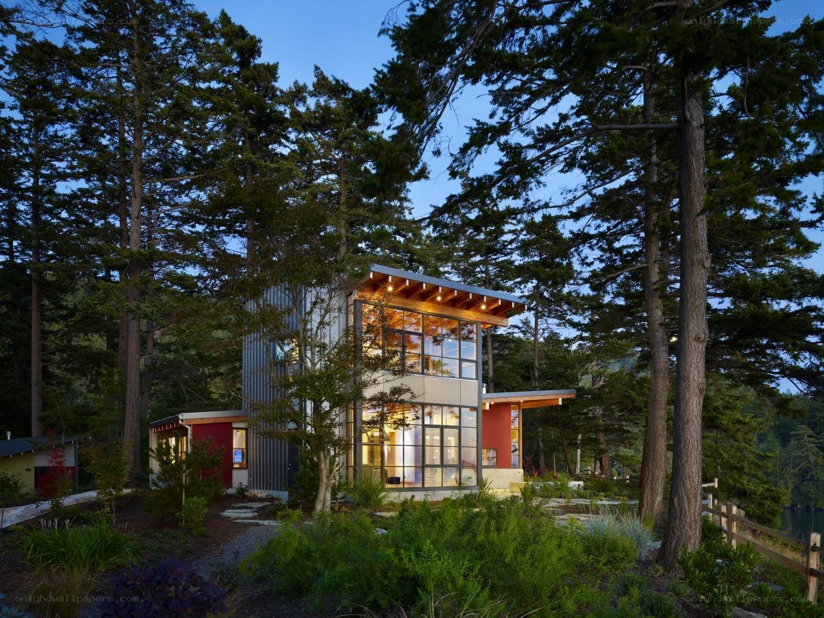 Modern house in forest at dusk