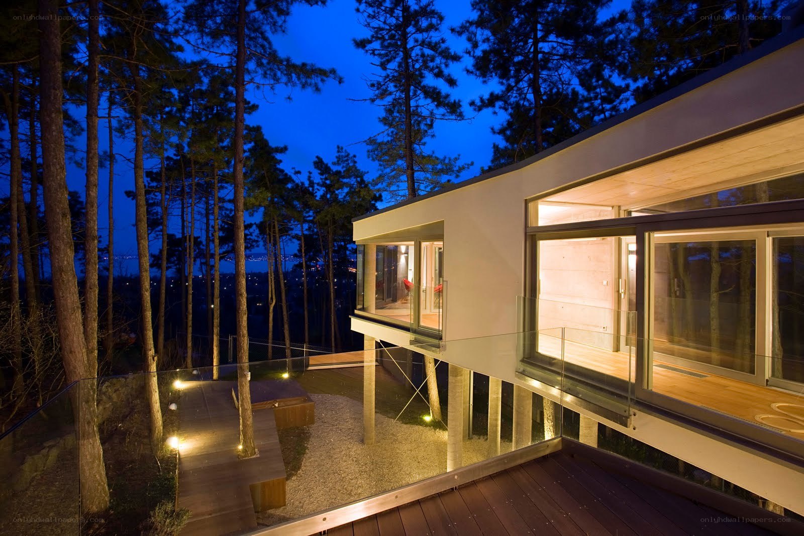Modern house in forest at night