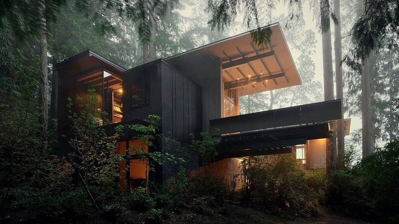 Modern House in Forest — Black, Serene, Night