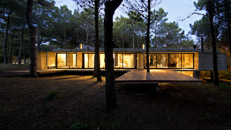 Modern House in Forest — Brown, Serene