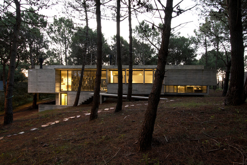 Modern House in Forest — Brown