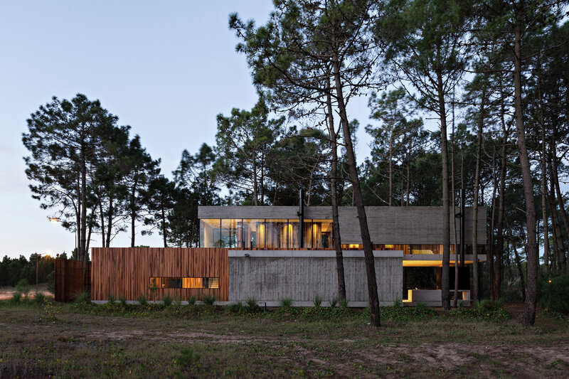 Modern House in Forest — Gray, Serene
