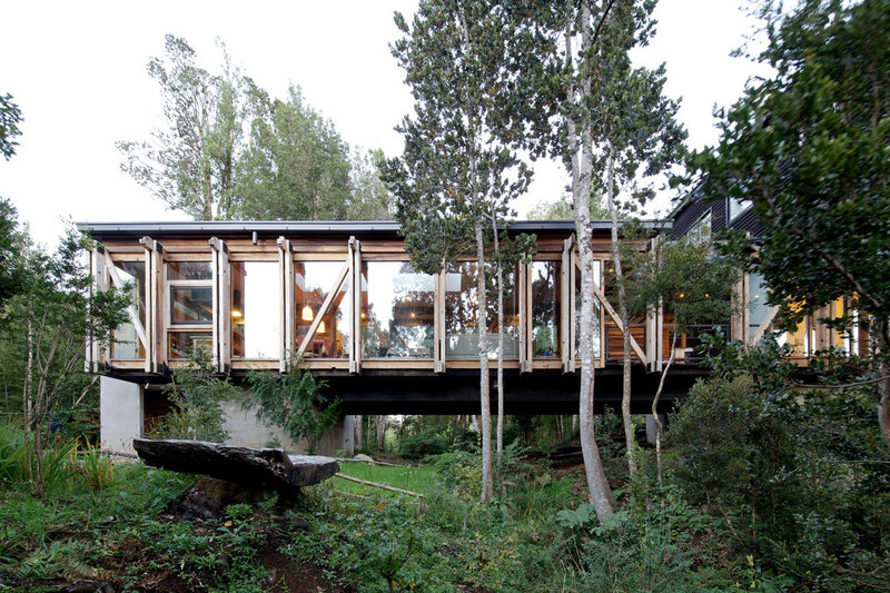 Modern House in Forest — Green, Serene, Afternoon, Photograph, Trees, Glass Windows