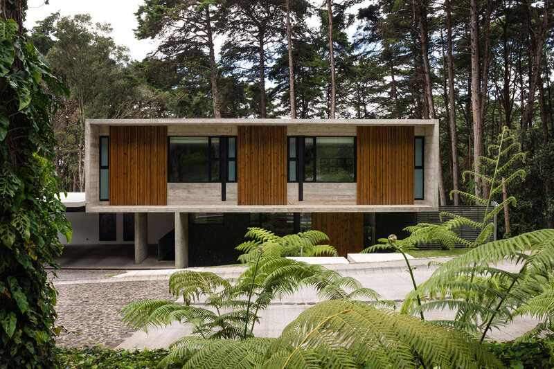 Modern House in Forest — Green, Serene, Afternoon, Photograph, Trees