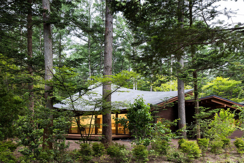 Modern House in Forest — Green, Serene, Afternoon, Photograph, Trees, Windows