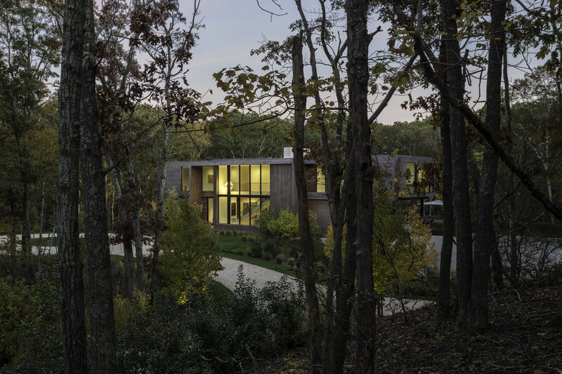 Modern House in Forest — Green, Serene, Sunset