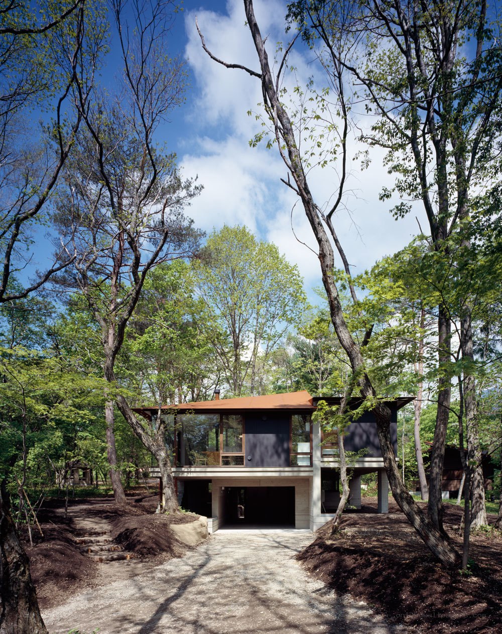 Modern house in forest