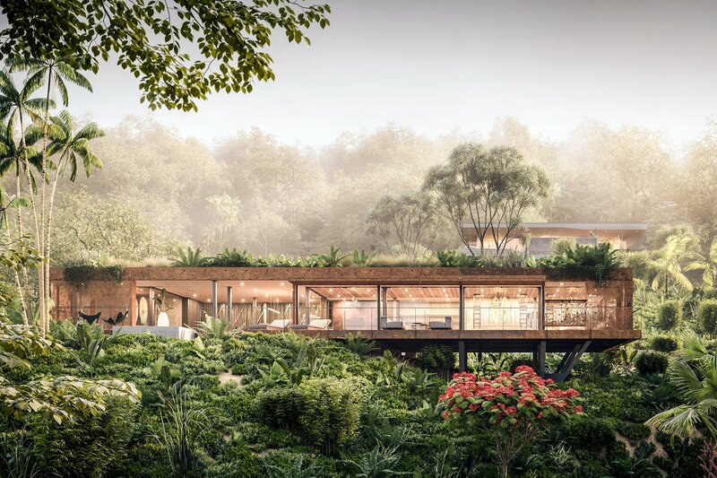 Modern House in Jungle